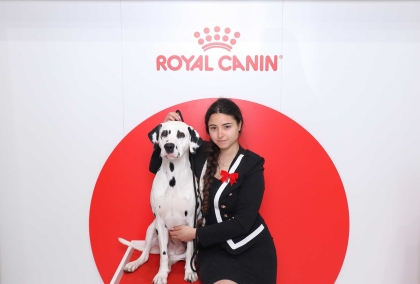 Fotokoutek pro Royal Kanin na psím veletrhu