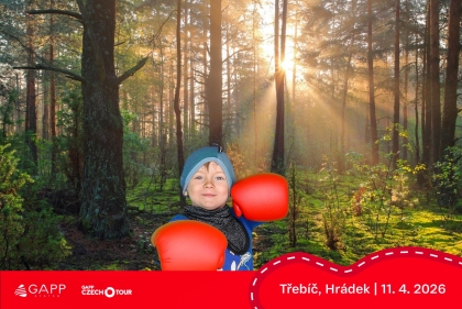 Obrázek 