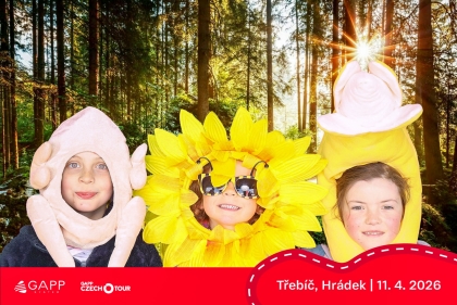 Obrázek 