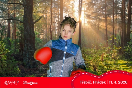 Obrázek 