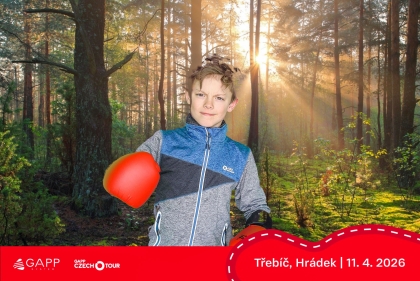 Obrázek 