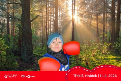 Obrázek 