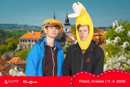 Obrázek 