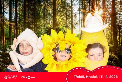 Obrázek 