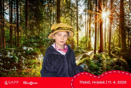 Obrázek 