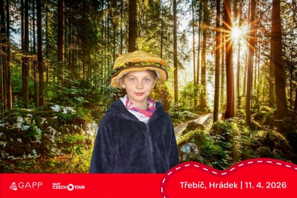 Obrázek 
