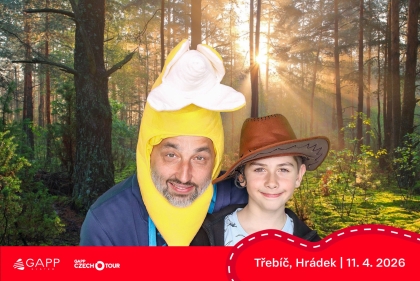 Obrázek 