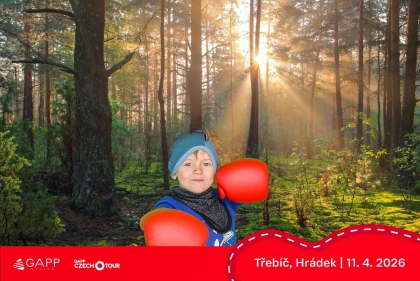 Obrázek 