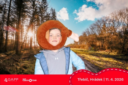 Obrázek 