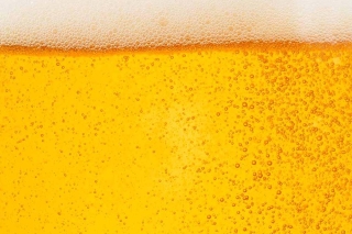Pivo